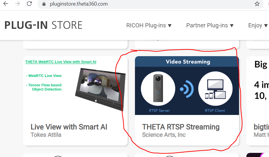 rtsp plug in